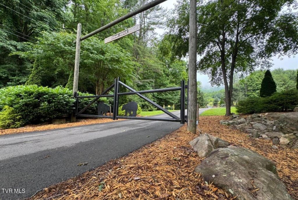 Photo of Tbd Black Bear Drive, Butler, TN 37640 (MLS # 9989721)