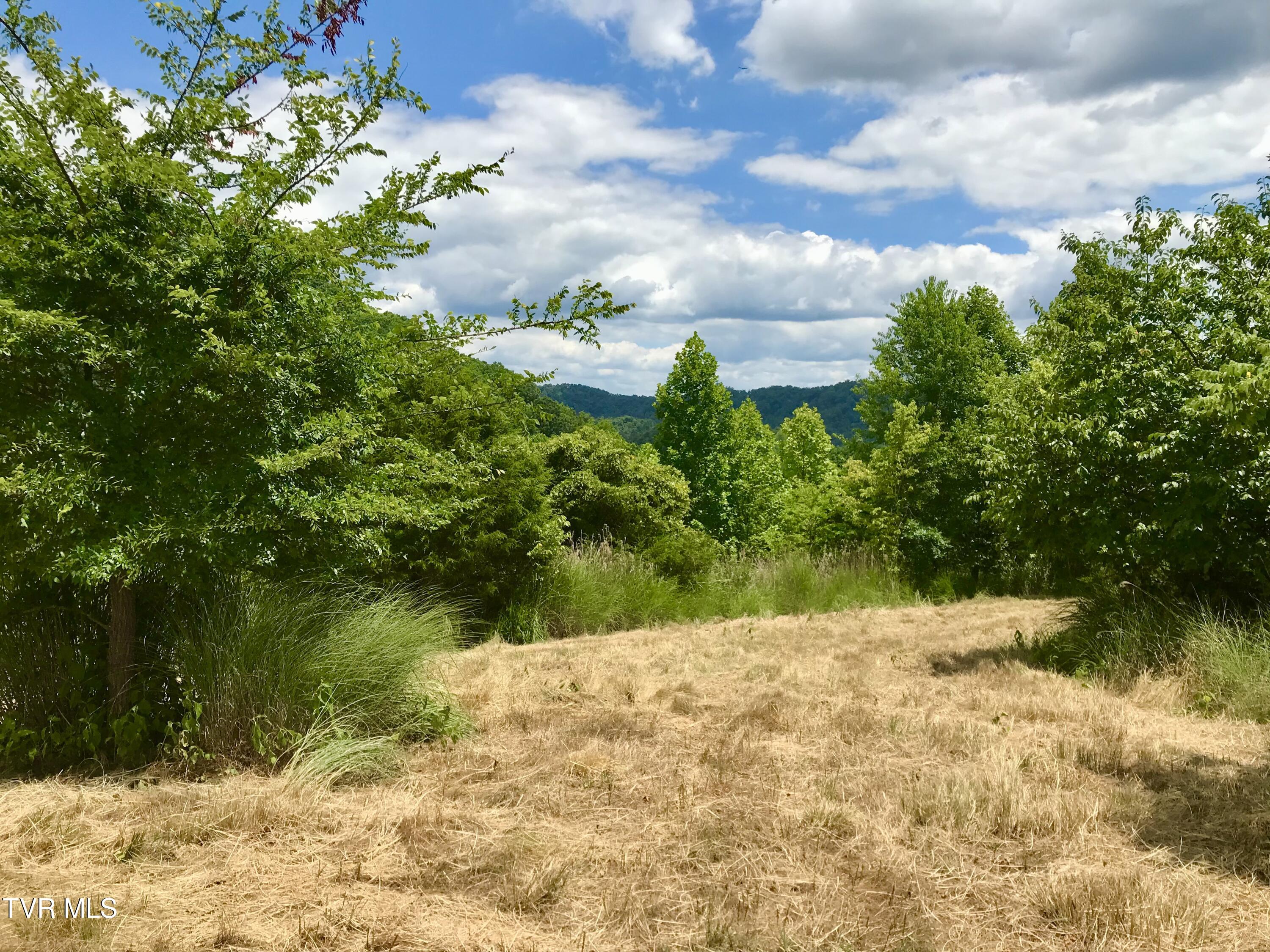 Tbd Kingdom Road, Duffield, Virginia image 11