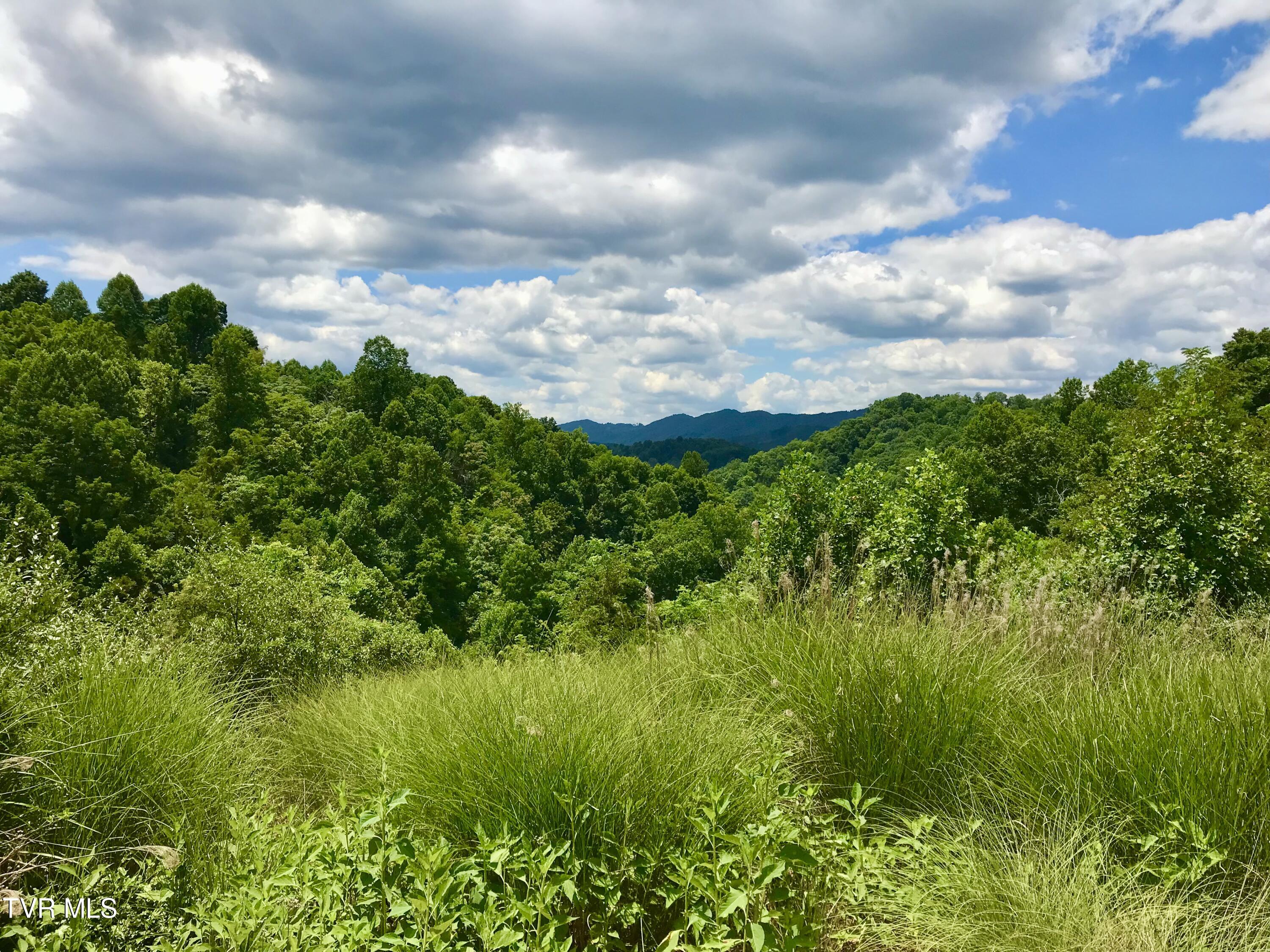 Tbd Kingdom Road, Duffield, Virginia image 10