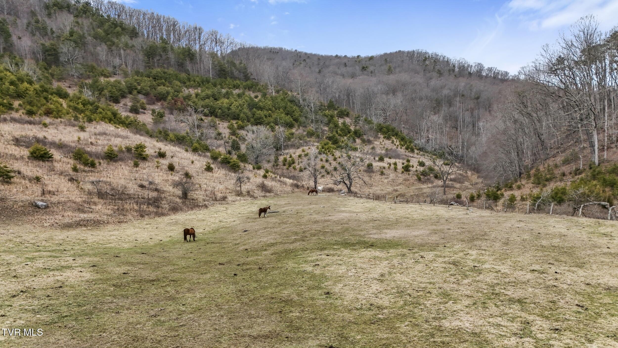 201 Falling Rock Road, Saltville, Virginia image 47