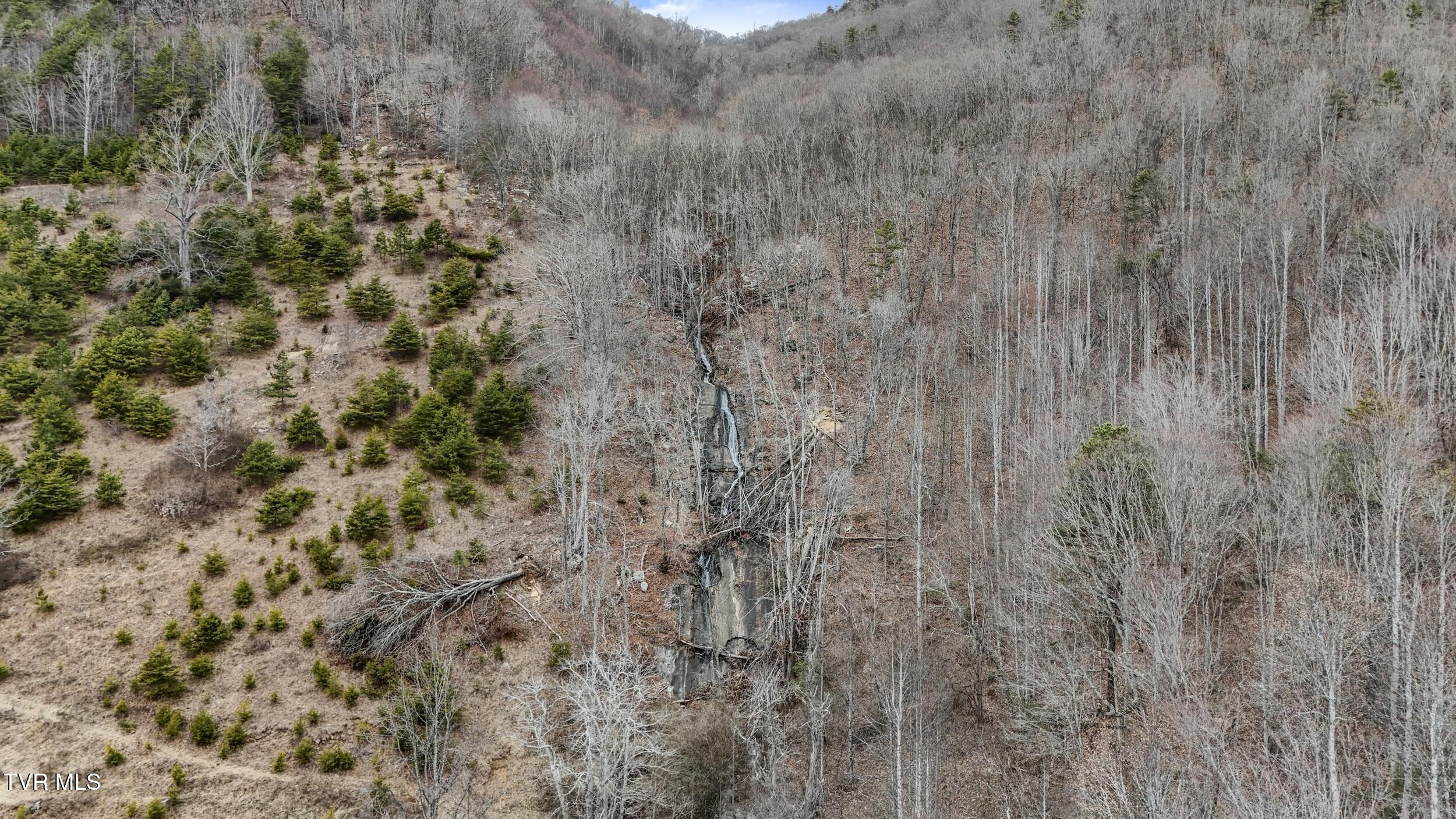 201 Falling Rock Road, Saltville, Virginia image 49
