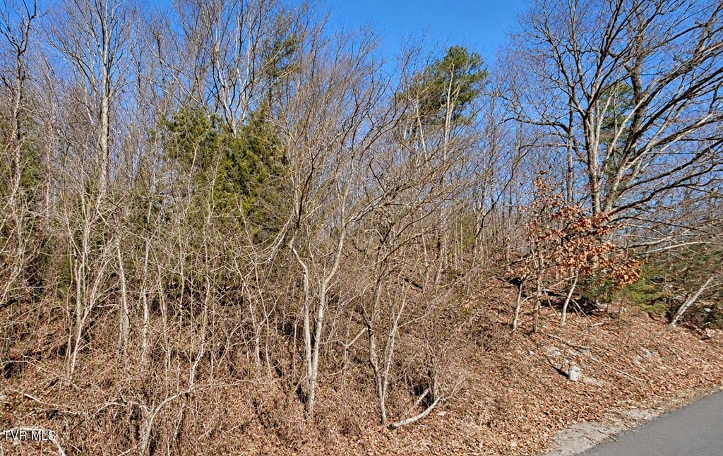 Photo of Tbd A P Carter Highway, Hiltons, VA 24258 (MLS # 10002553)