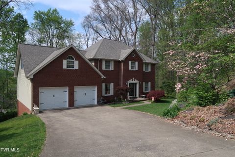 Photo of 361 Cain Drive, Blountville, TN 37617 (MLS # 9993970)
