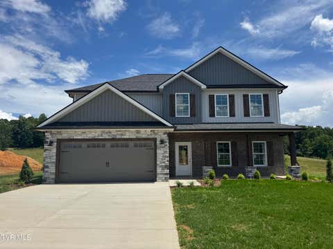 Photo of 541 Larkins Farm Drive, Jonesborough, TN 37659 (MLS # 9996012)