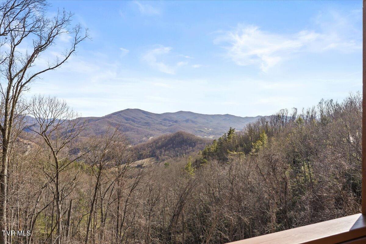 4014 Callalantee Drive, Mountain City, Tennessee image 44