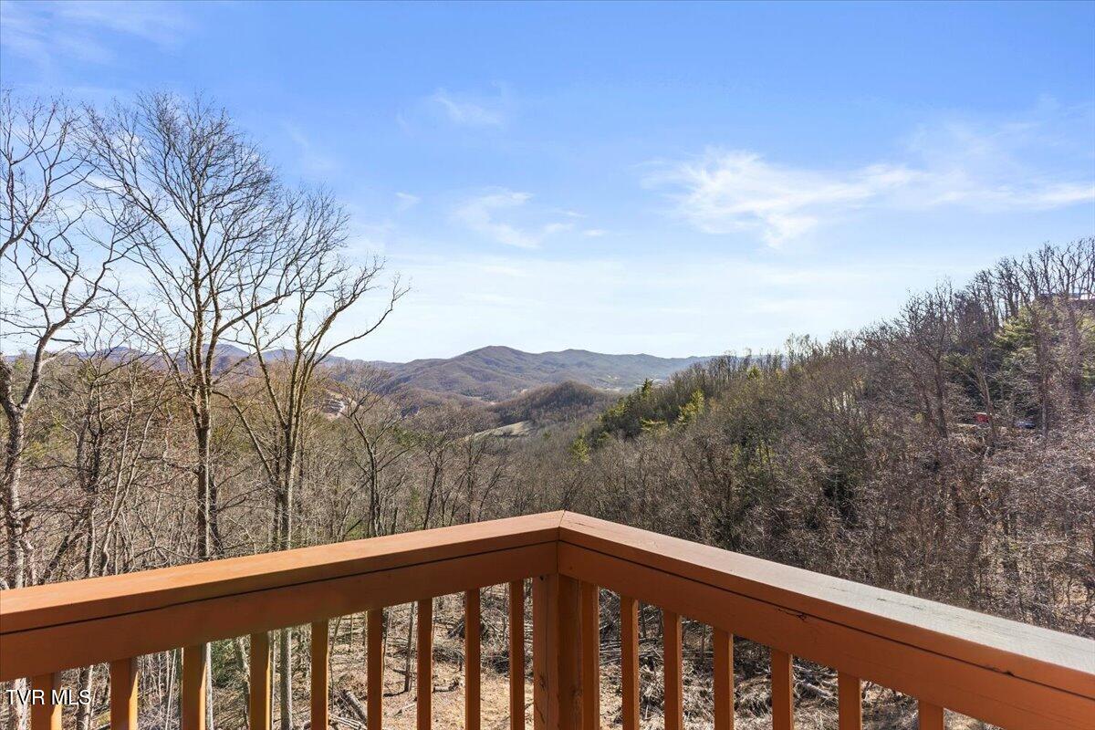 4014 Callalantee Drive, Mountain City, Tennessee image 39