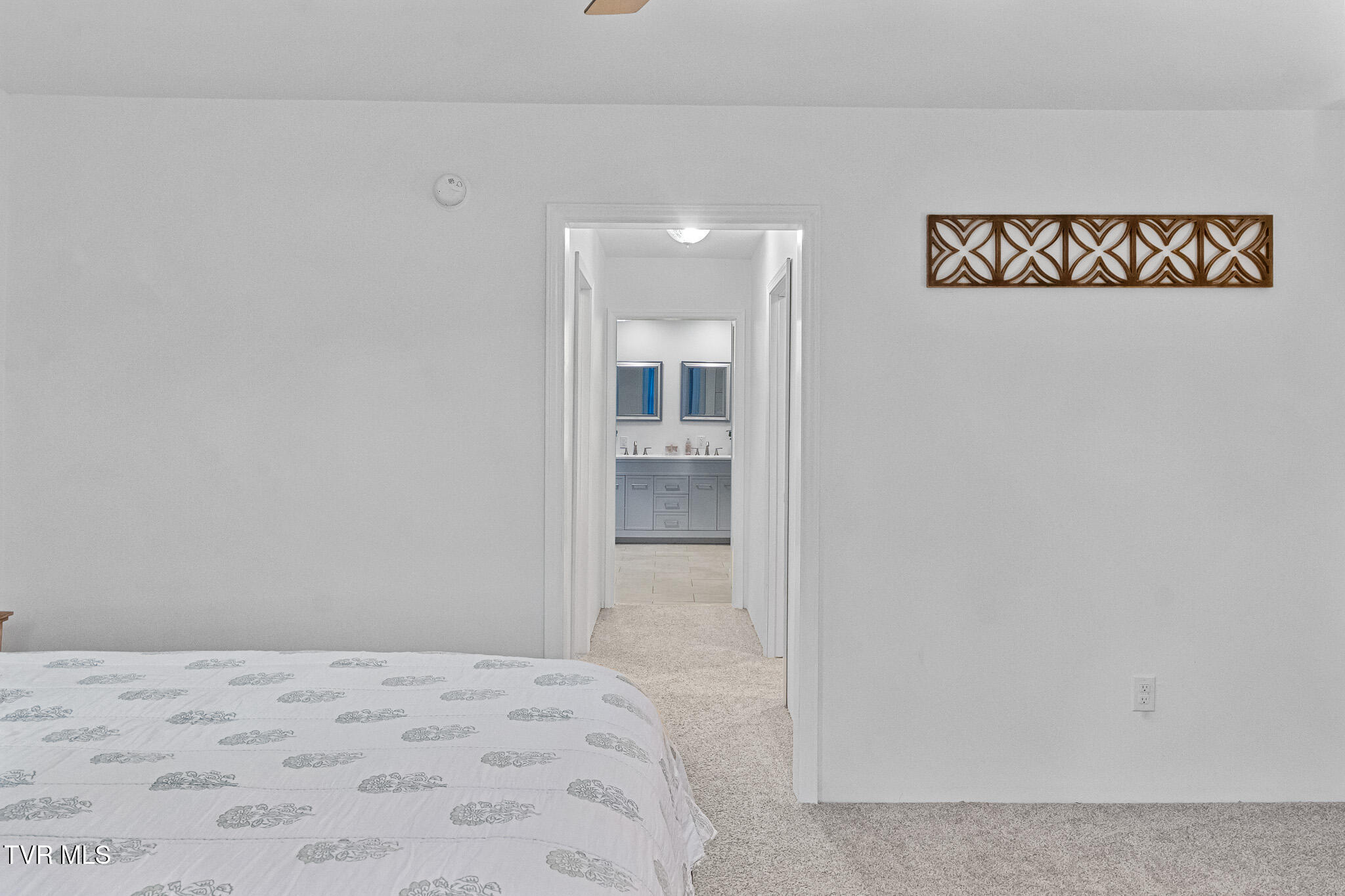 1318 Lakeview Drive, Johnson City, Tennessee image 34