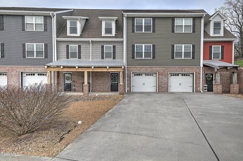 Condo For Sale - 105 Smartview Lane #-<br/> Abingdon, VA 24210