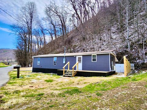 Photo of 205 Polly Erwin Road, Erwin, TN 37650 (MLS # 9992683)