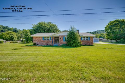 Photo of 168 Howard Lipford Drive, Elizabethton, TN 37643 (MLS # 9996330)