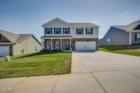 Photo of 2475 Bridgeforth Crossing, Kingsport, TN 37664 (MLS # 9992919)