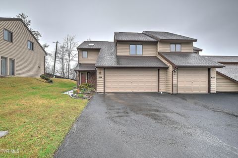 248 Willowbend Drive 248 Kingsport TN 37660