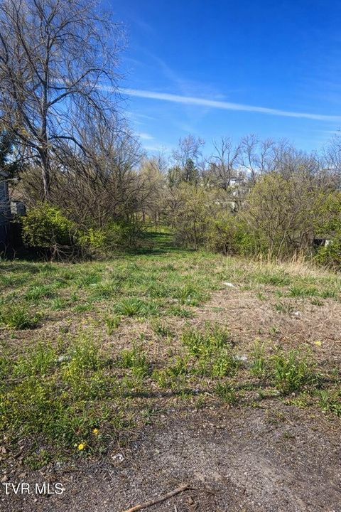 Vacant Land For Sale - LOT 15 Norfolk<br/> Bristol, VA 24201