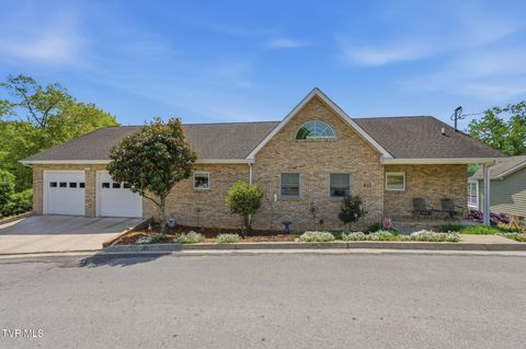 410 Lakeview Street Bluff City TN 37618