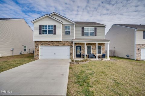 Photo of 132 Breckenridge Trace Trce, Kingsport, TN 37663 (MLS # 9990573)