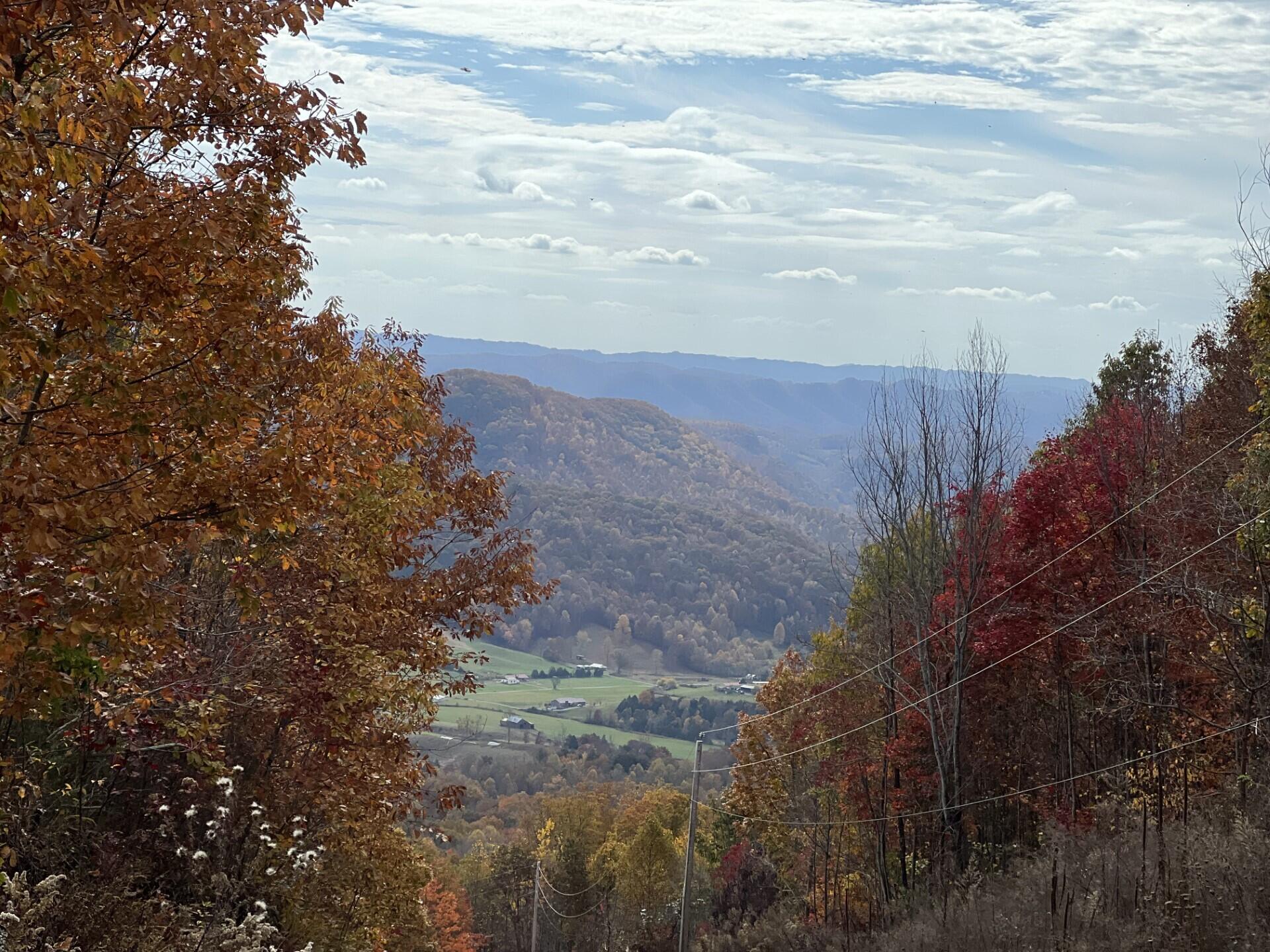 Tbd Paradise Lot 15 Drive, Duffield, Virginia image 4