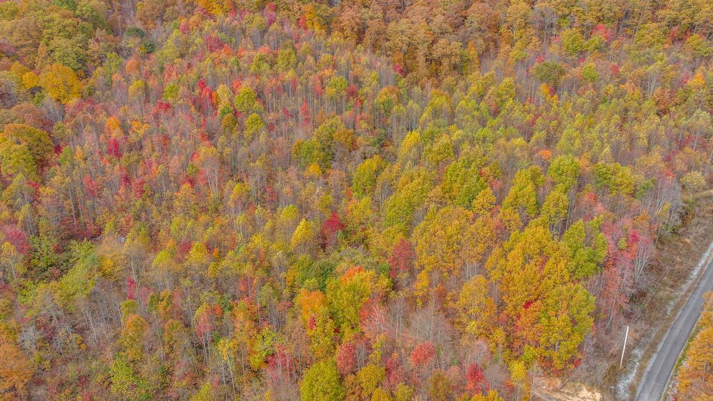 Photo of Tbd Paradise Lot 15 Drive, Duffield, VA 24244 (MLS # 9958689)