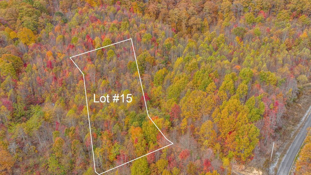 Photo of Tbd Paradise Lot 15 Drive, Duffield, VA 24244 (MLS # 9958689)