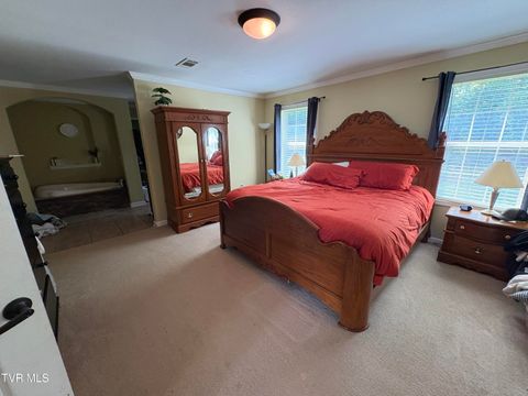 Tiny photo for 104 Carver Crabtree Road, Hampton, TN 37658 (MLS # 9984830)