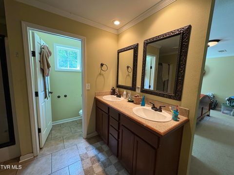 Tiny photo for 104 Carver Crabtree Road, Hampton, TN 37658 (MLS # 9984830)