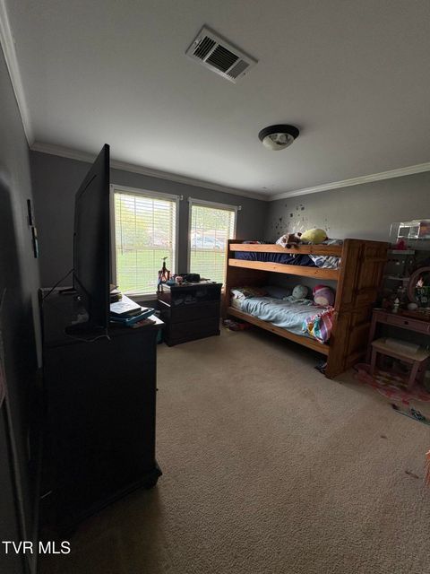 Tiny photo for 104 Carver Crabtree Road, Hampton, TN 37658 (MLS # 9984830)