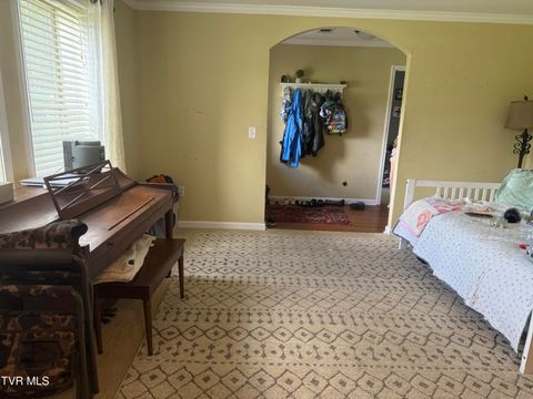 Tiny photo for 104 Carver Crabtree Road, Hampton, TN 37658 (MLS # 9984830)