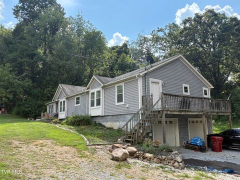 Tiny photo for 104 Carver Crabtree Road, Hampton, TN 37658 (MLS # 9984830)