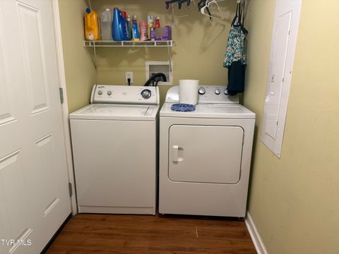 Tiny photo for 104 Carver Crabtree Road, Hampton, TN 37658 (MLS # 9984830)