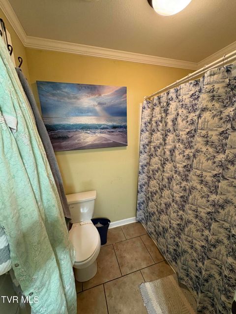 Tiny photo for 104 Carver Crabtree Road, Hampton, TN 37658 (MLS # 9984830)