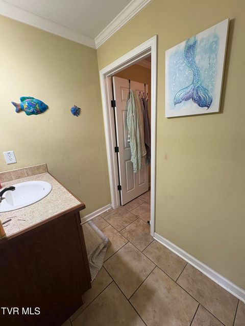 Tiny photo for 104 Carver Crabtree Road, Hampton, TN 37658 (MLS # 9984830)
