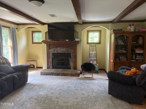 Tiny photo for 104 Carver Crabtree Road, Hampton, TN 37658 (MLS # 9984830)
