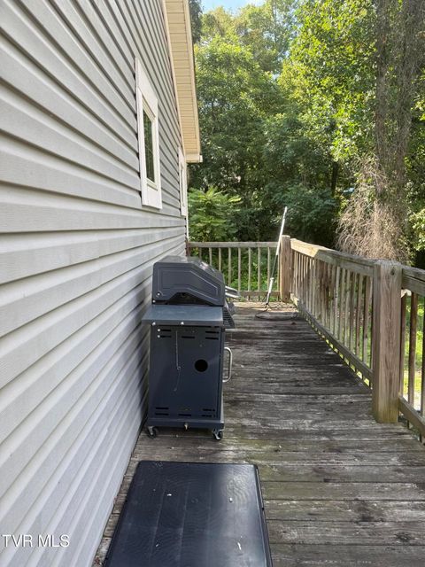 Tiny photo for 104 Carver Crabtree Road, Hampton, TN 37658 (MLS # 9984830)