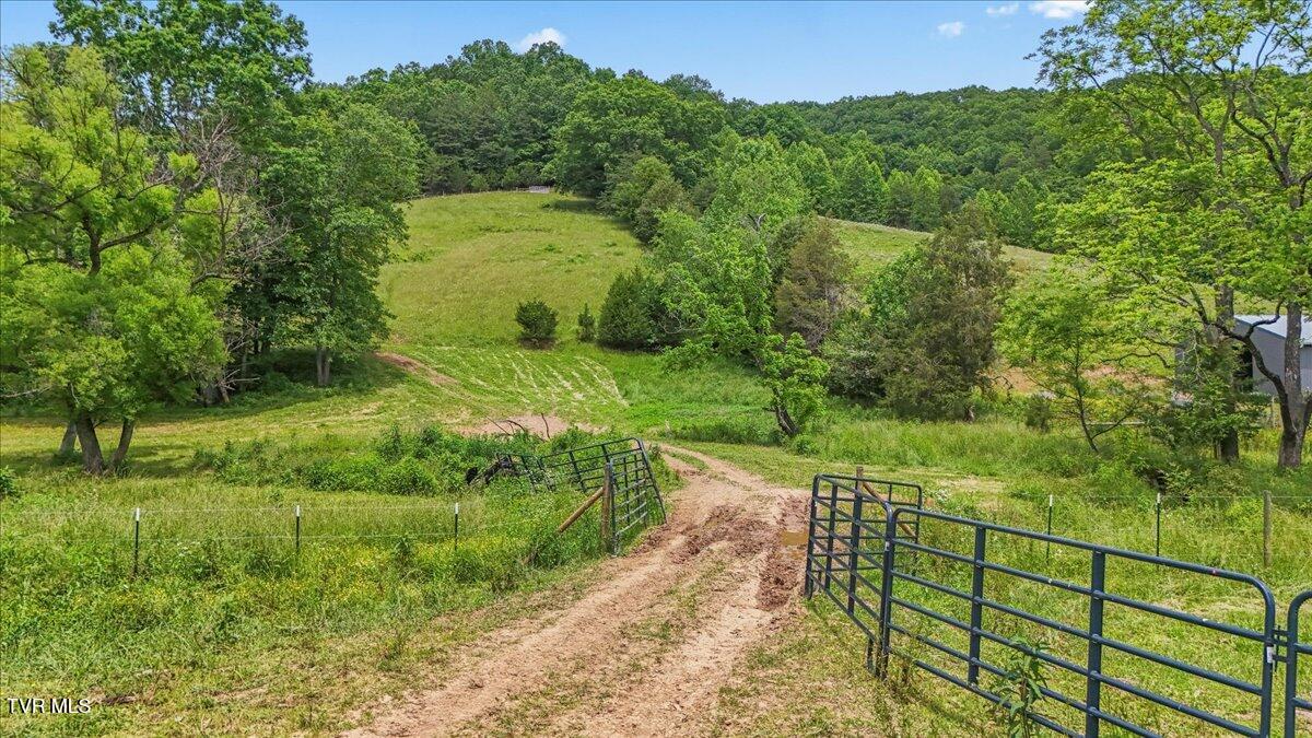 Tbd Stanley Valley Road, Gate City, Virginia image 22