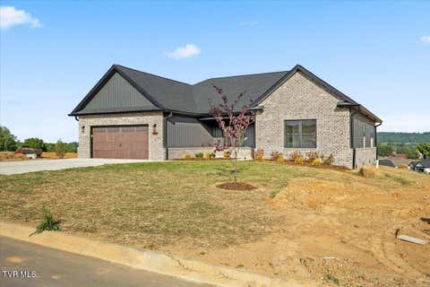 Homes For Sale - 959 Cabot Cove<br/> Jonesborough, TN 37659