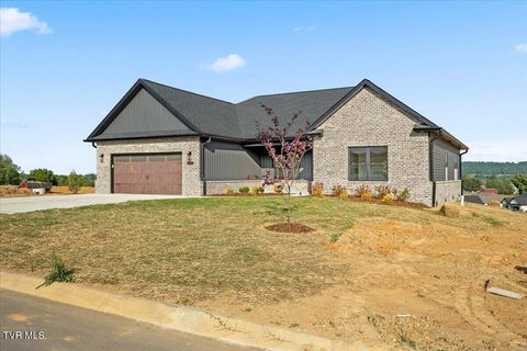 959 Cabot Cove Jonesborough TN 37659