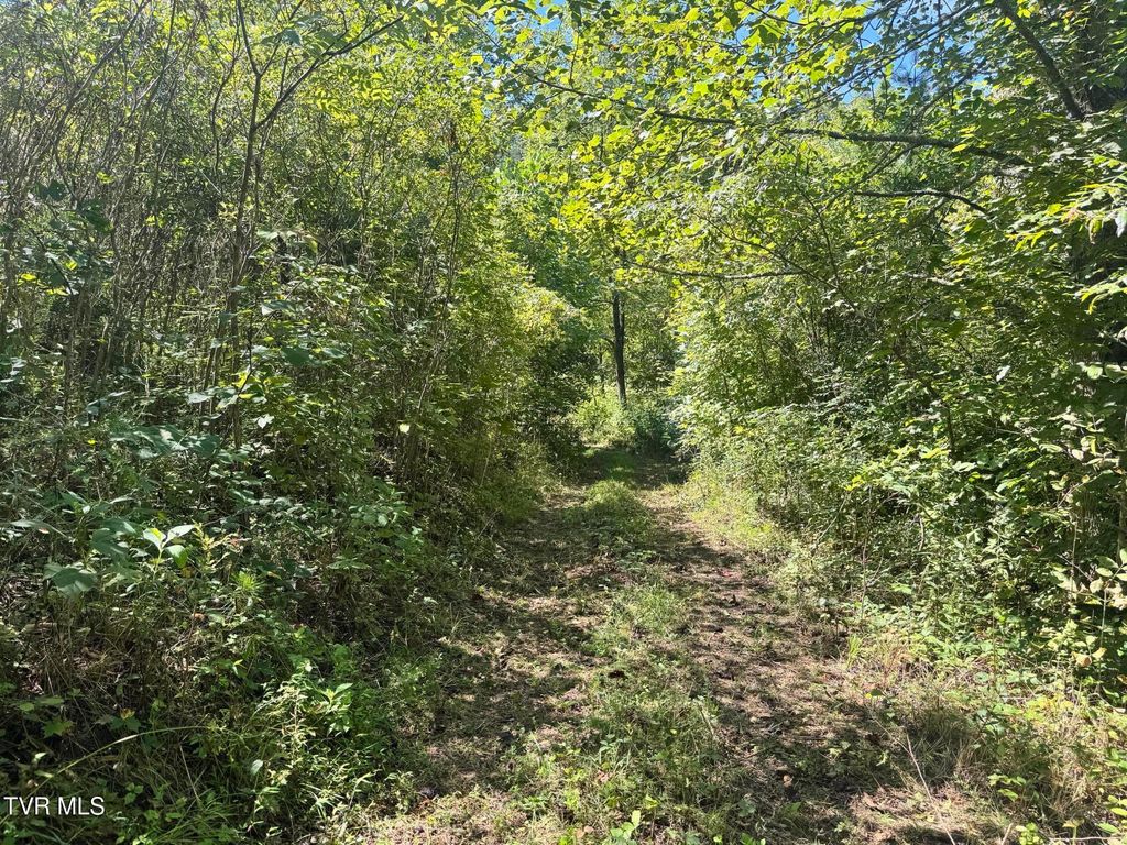 Photo of 7197 Tazewell Highway, Sneedville, TN 37869 (MLS # 9985175)