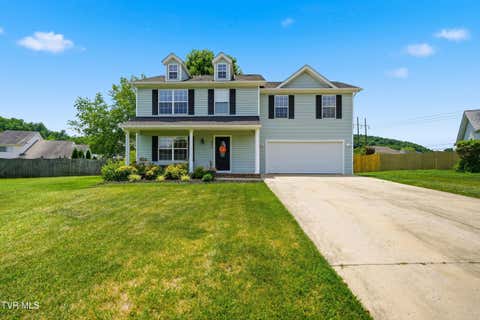 Photo of 229 Jaybird Court, Bristol, TN 37620 (MLS # 9999761)