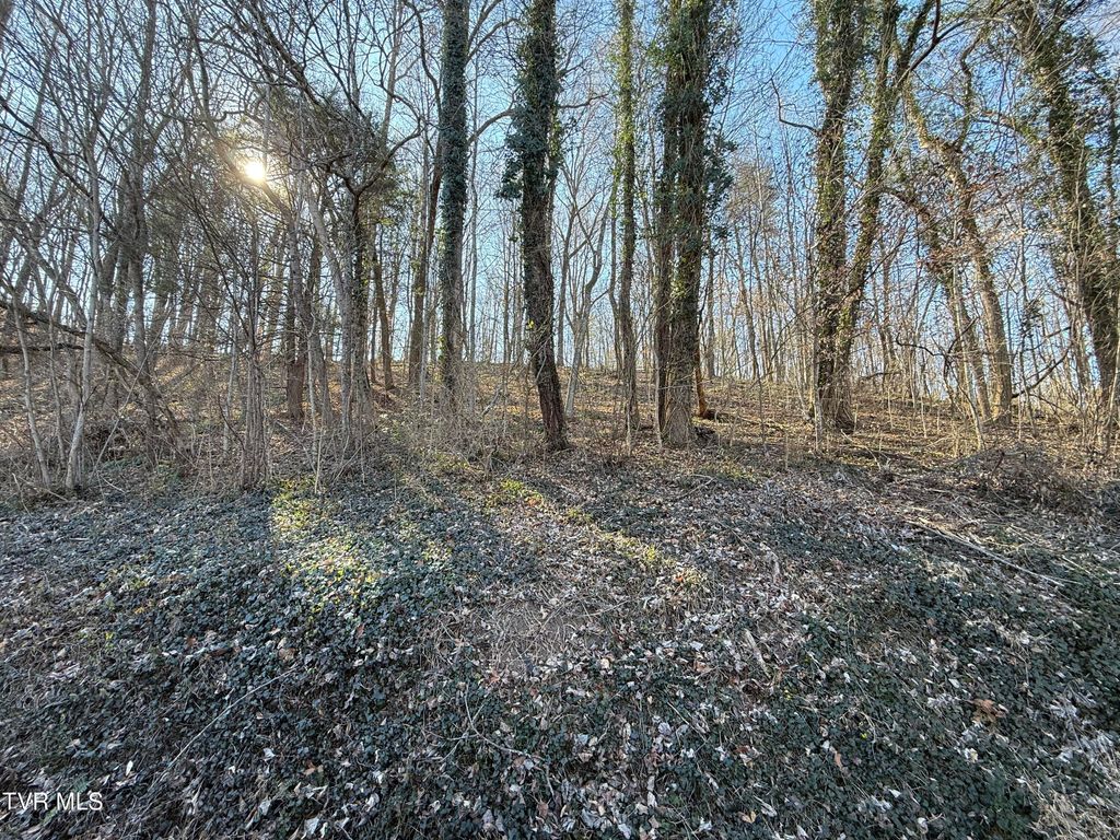 Photo of 14 Bishop Hollow Road, Elizabethton, TN 37643 (MLS # 9990444)