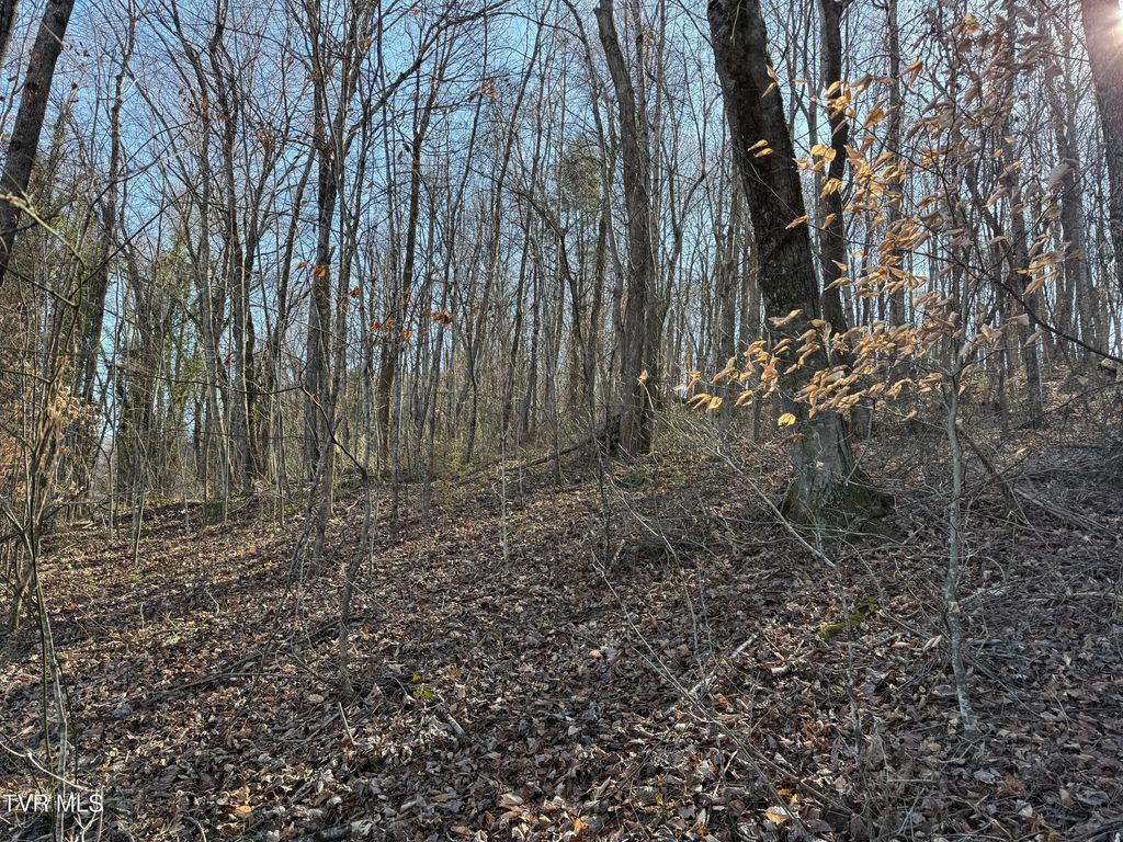 Photo of 14 Bishop Hollow Road, Elizabethton, TN 37643 (MLS # 9990444)