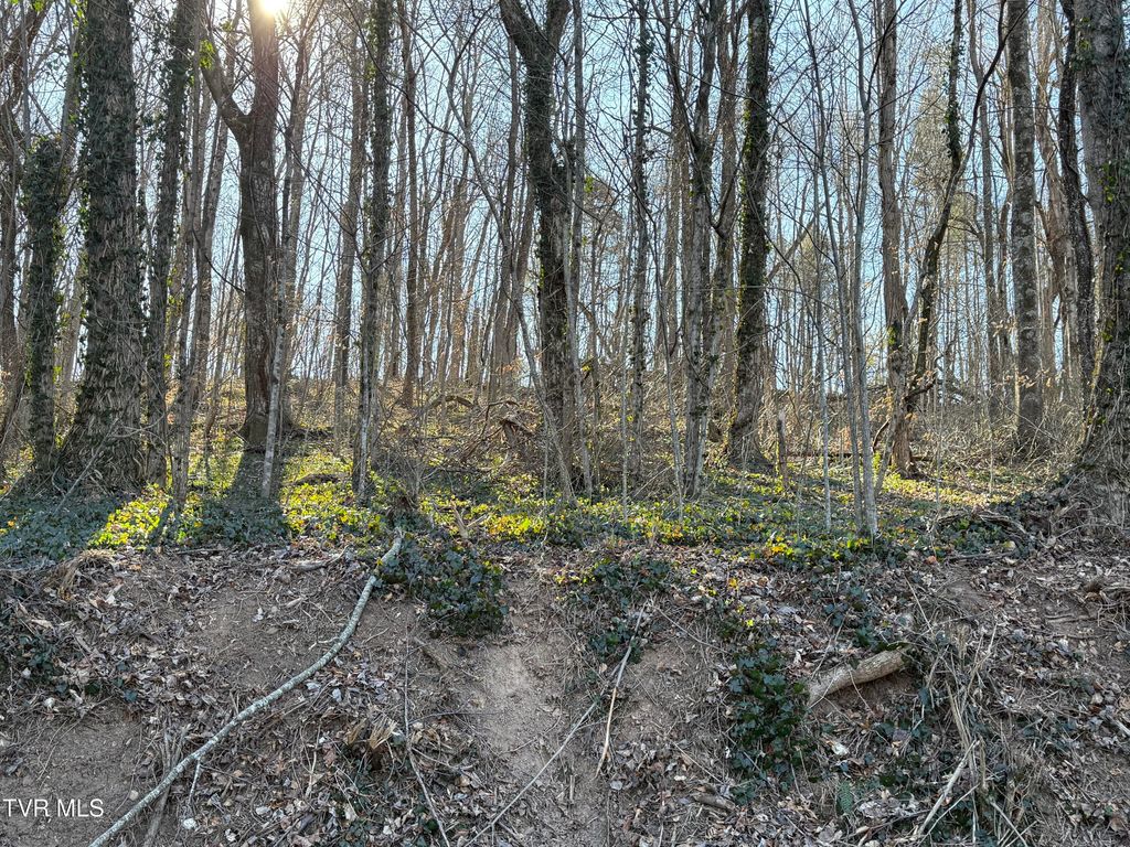 Photo of 14 Bishop Hollow Road, Elizabethton, TN 37643 (MLS # 9990444)