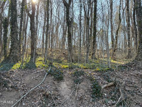 Vacant Land For Sale - LOTS 1-4 Bishop Hollow Road<br/> Elizabethton, TN 37643