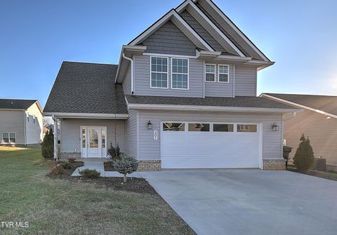 Photo of 201 Gunners Way, Gray, TN 37615 (MLS # 9990404)