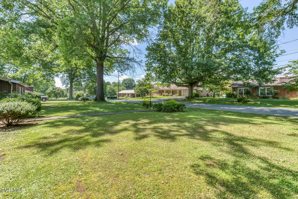 Photo of 876 Falcon Drive, Abingdon, VA 24210 (MLS # 9984252)
