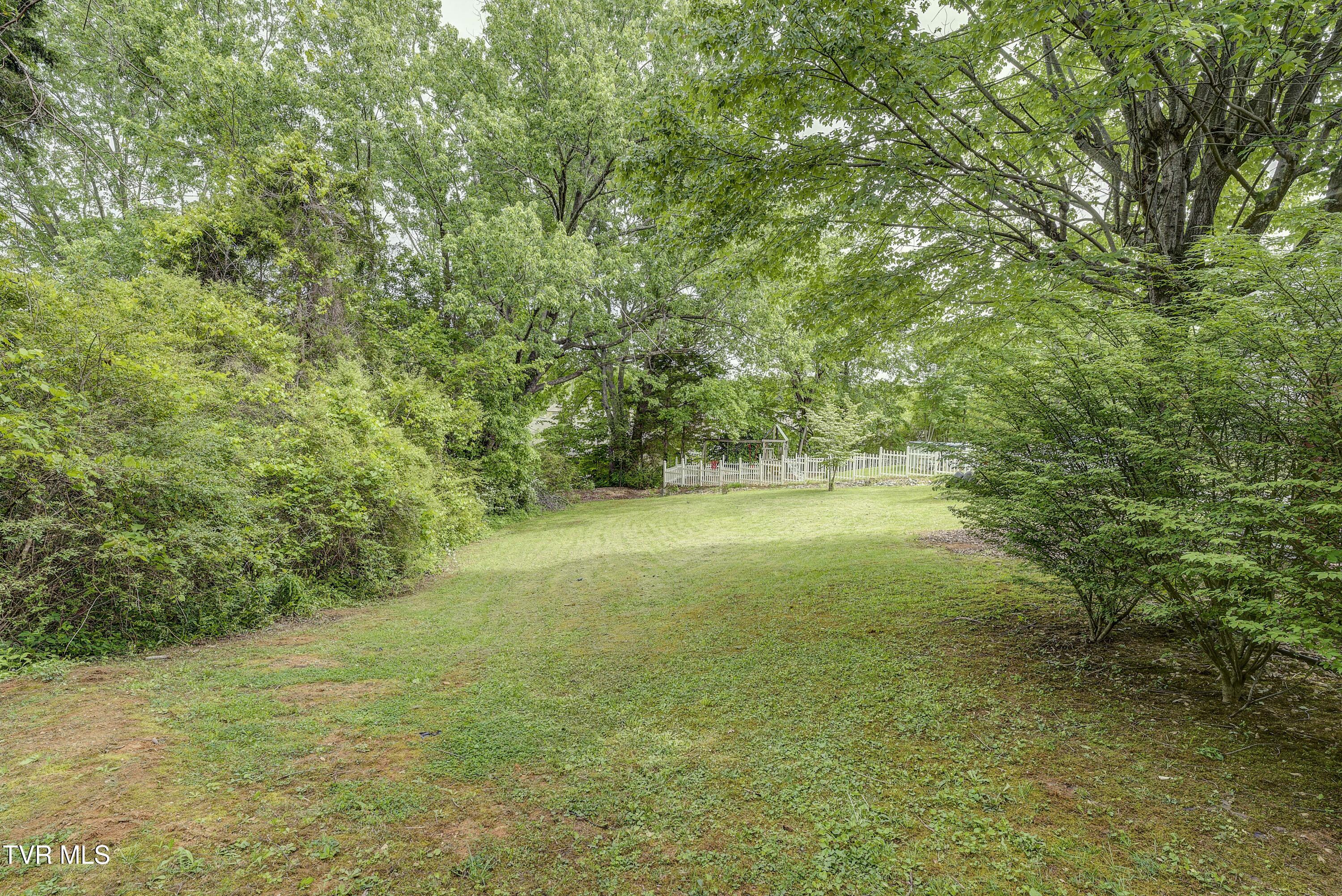 4 Haverhill Court Court, Johnson City, Tennessee image 46