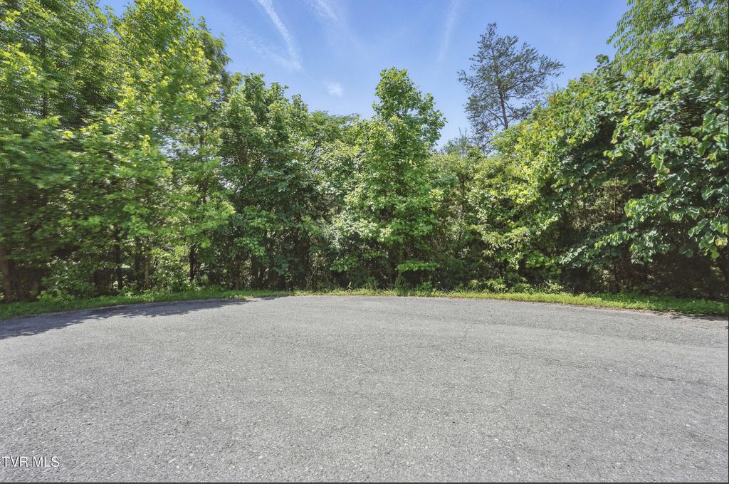 Photo of 2064 Scenic Pointe Place, Church Hill, TN 37642 (MLS # 9981536)