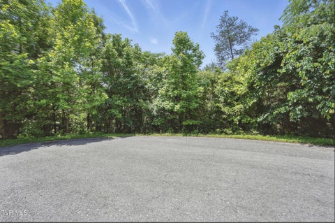 Vacant Land For Sale - 2064 Scenic Pointe Place<br/> Church Hill, TN 37642