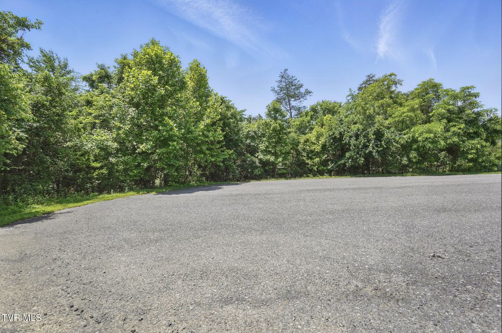 Photo of 2064 Scenic Pointe Place, Church Hill, TN 37642 (MLS # 9981536)