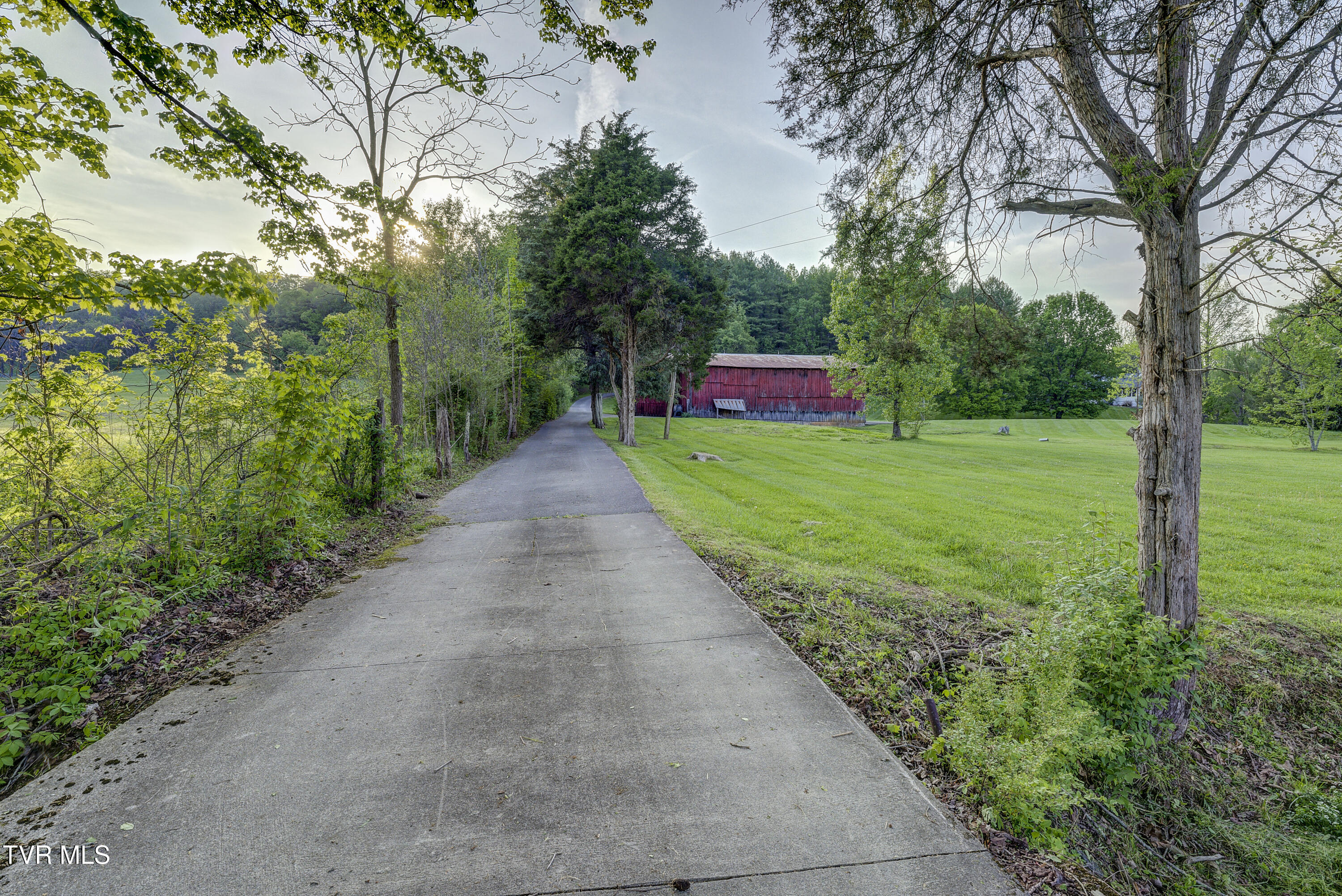 245 Malone Hollow Road, Jonesborough, Tennessee image 26