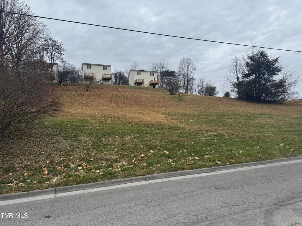 Photo of Tbd Clark Street, Abingdon, VA 24210 (MLS # 9988505)