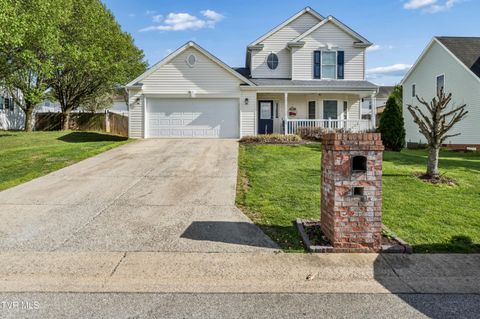 Photo of 129 Violet Lane, Bluff City, TN 37618 (MLS # 9995769)